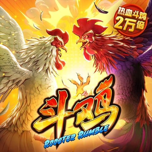 55世纪平台登陆