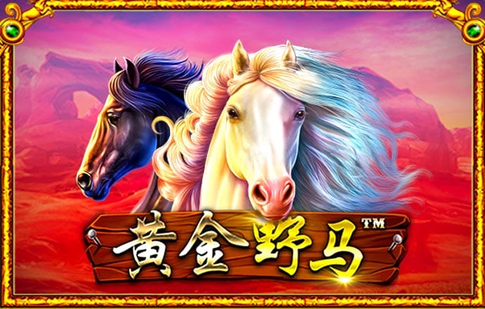 香港三期必出一期特吗截图3