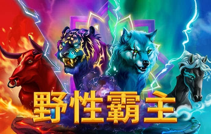 im电竞官方入口官网截图1